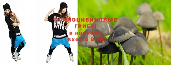 а пвп мука Абаза