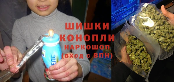 дживик Абинск