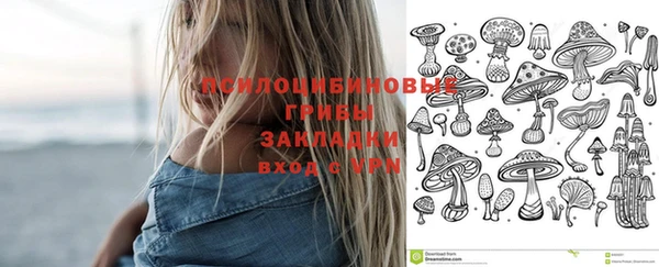 а пвп мука Абаза